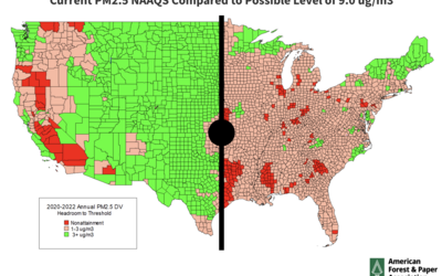 Why EPA Should Not Finalize the Particulate Matter NAAQS Standard