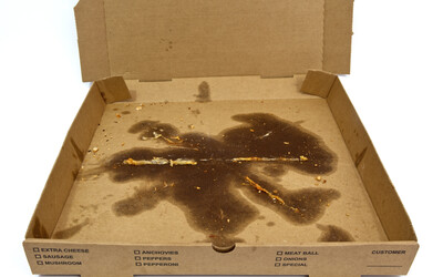 Can I Recycle a Greasy Pizza Box?