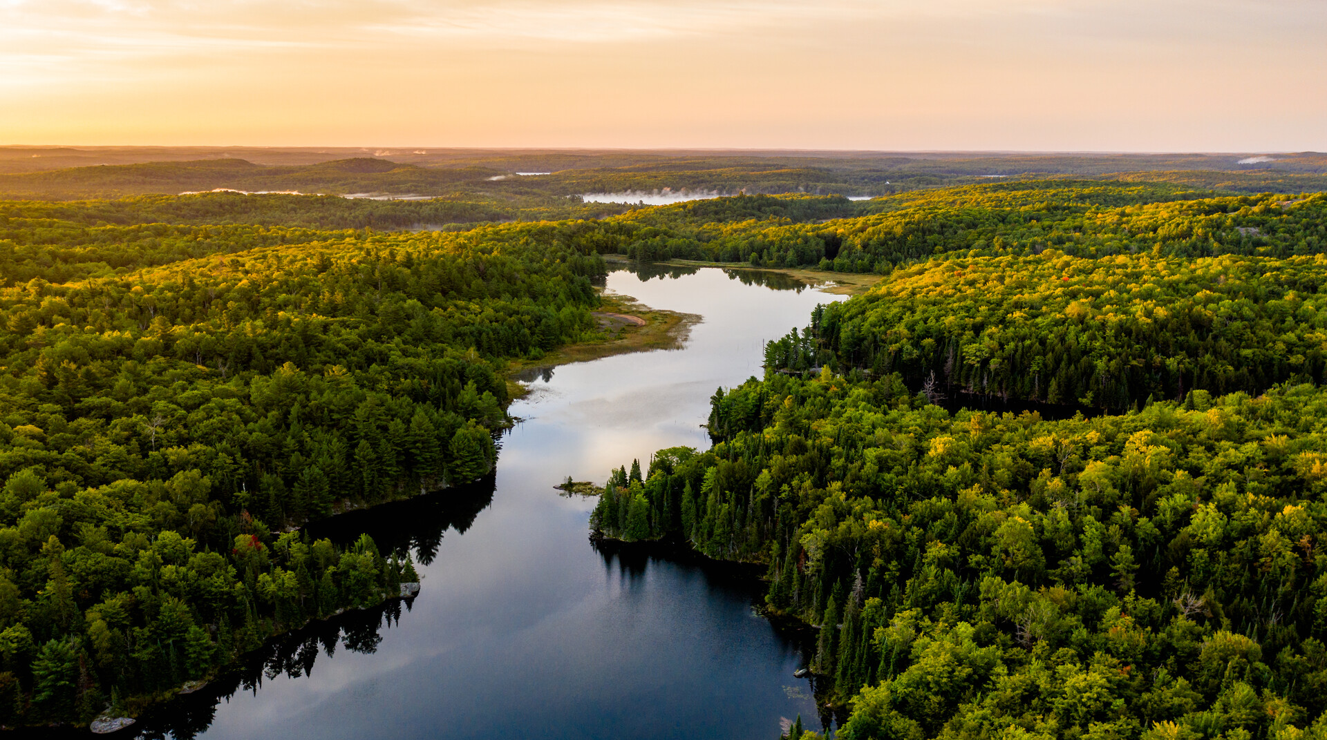 A river winding through a forest while the sun is setting. 