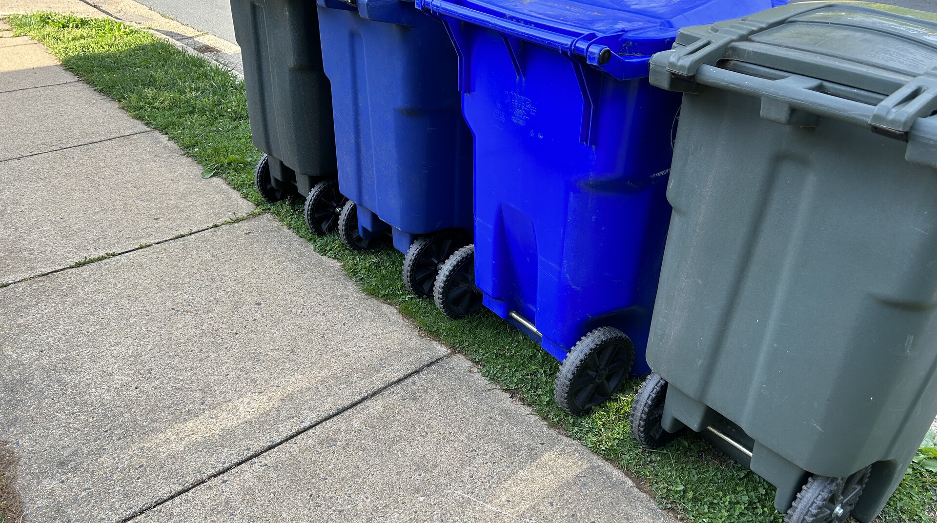 Recycling and trash bins on a curb
