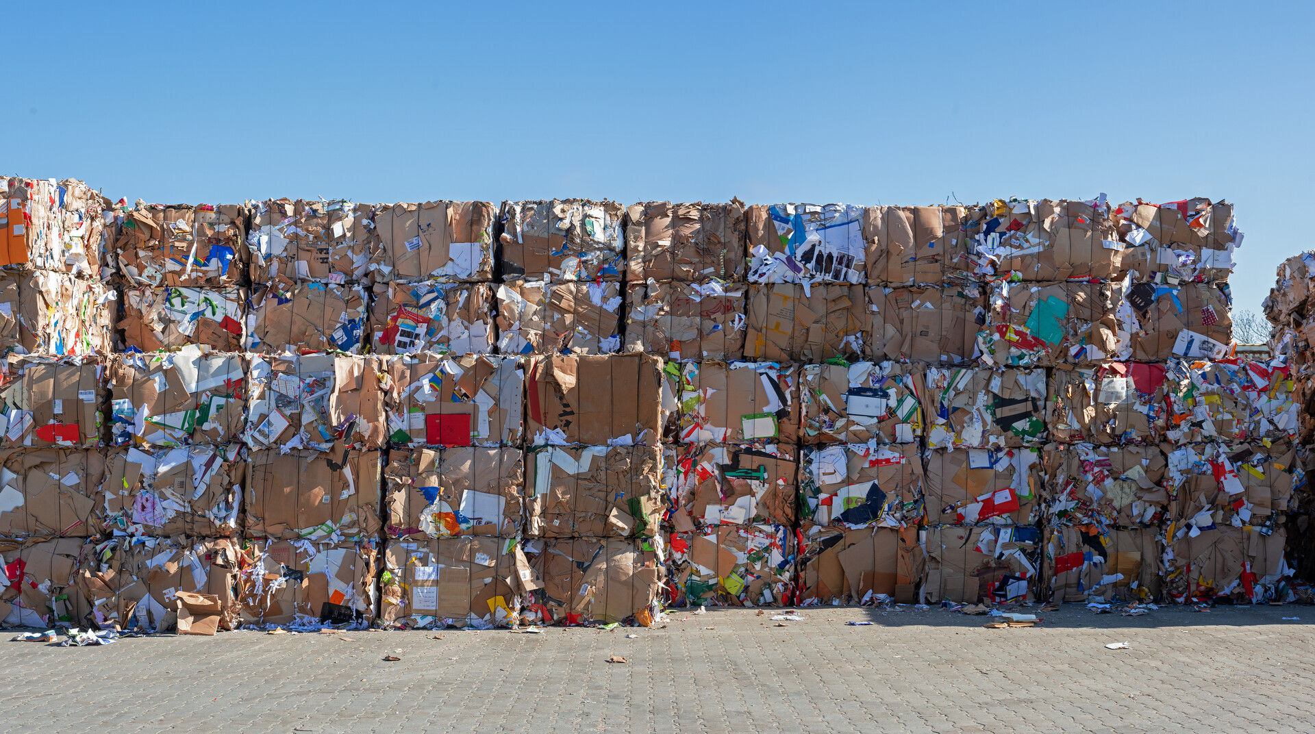 Bales of cardboard stacked high on a paved lot. 