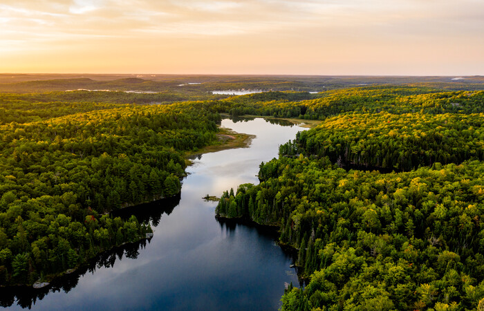 A river winding through a forest while the sun is setting. 