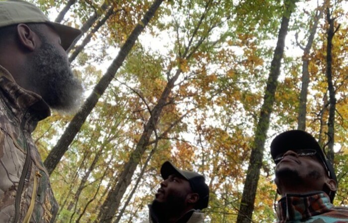 Federation staff foresters Freddie Davis, Darren Beachem, and Corey Bacon surveying trees.