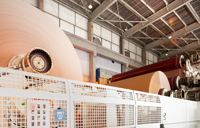 Parent rolls of Kraft paper on a paper machine