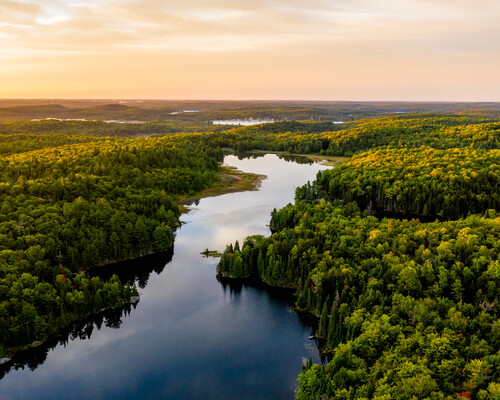 A river winding through a forest while the sun is setting. 