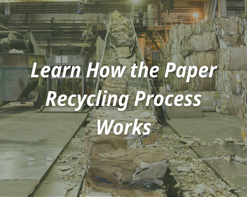 Bales of cardboard going into a conveyer belt. The text reads, "Learn How the Paper Recycling Process Works."