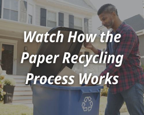 The paper recycling process and how to make your own recycled paper