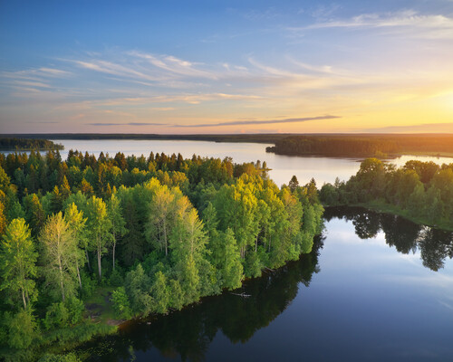 Lake and forest during sunset.