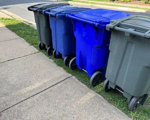 Recycling and trash bins on a curb