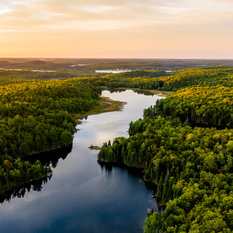 A river winding through a forest while the sun is setting. 