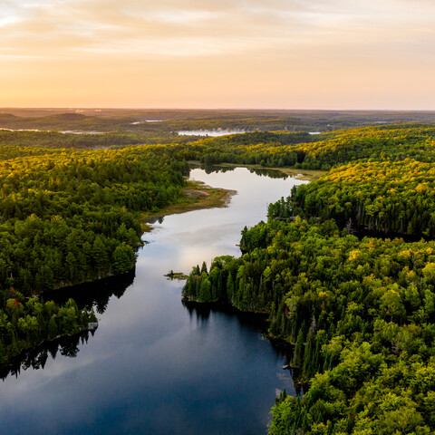 A river winding through a forest while the sun is setting.