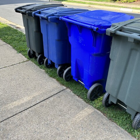 Recycling and trash bins on a curb