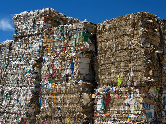 Paper Industry Announces 2025 U.S. Paper Recycling Rates