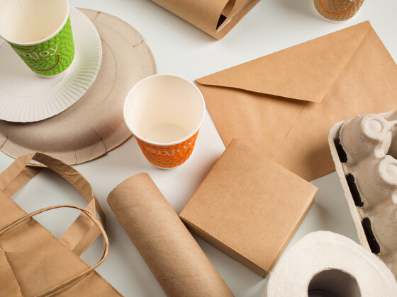 Is the Paper Industry Sustainable?  