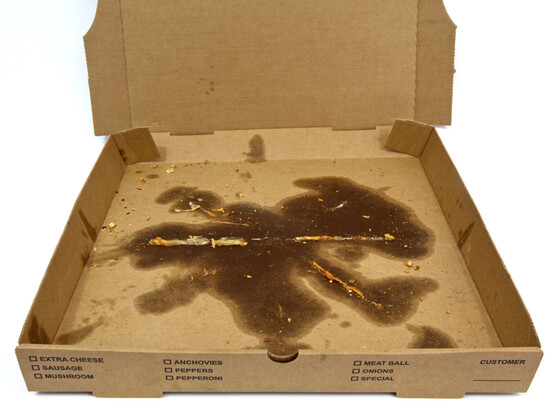 Can I Recycle a Greasy Pizza Box?