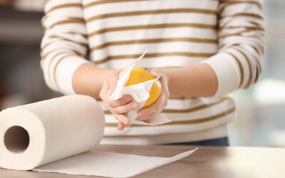 Infographic: Paper Towels Are Essential to Limit the Spread of Germs