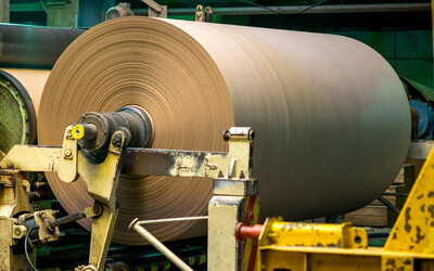 What is Paper Made From?