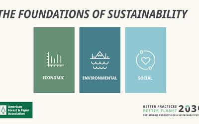 The Foundations of Sustainability