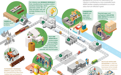 Paper and Wood Products Industry Value Chain