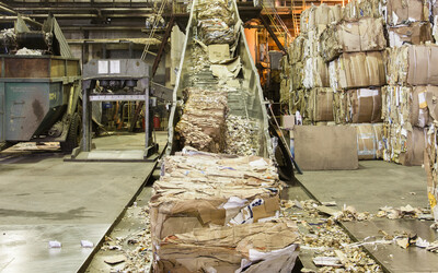 How Much Cardboard is Recycled?