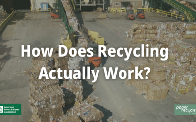 How Does Recycling Work