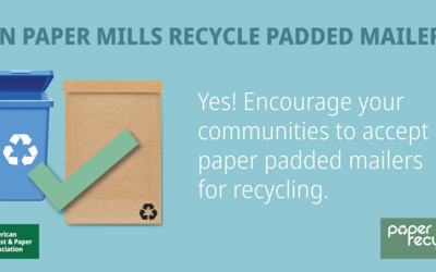 Recycle Paper Padded Mailers