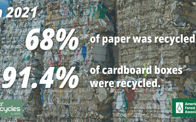 Paper and Cardboard Recycling Rate Graphic