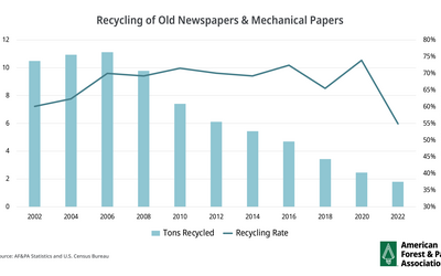 Recycling of Old Newspapers and Mechanical Papers Graph