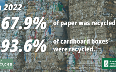 Paper and Cardboard Recycling Rate Graphic