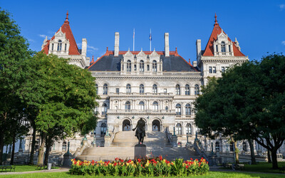 AF&PA Urges New York Governor Hochul to Veto TREES Act