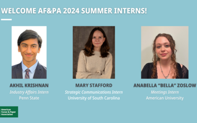 Turning a New Leaf in the Paper Industry: Summer Internships 