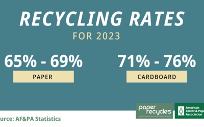 Paper and Cardboard Recycling Rate Graphic