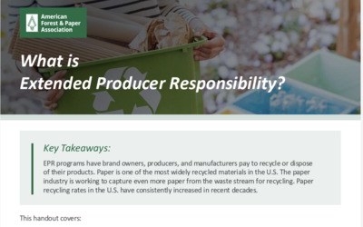 Handout - What is Extended Producer Responsibility