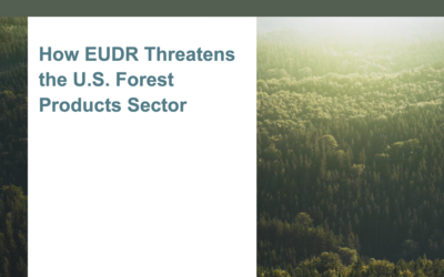 Explainer: How EUDR Threatens the U.S. Forest Products Sector