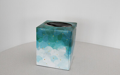 Can You Recycle Tissue Boxes? 