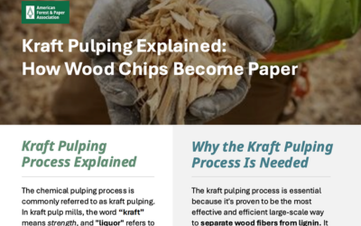 Handout - Kraft Pulping Explained