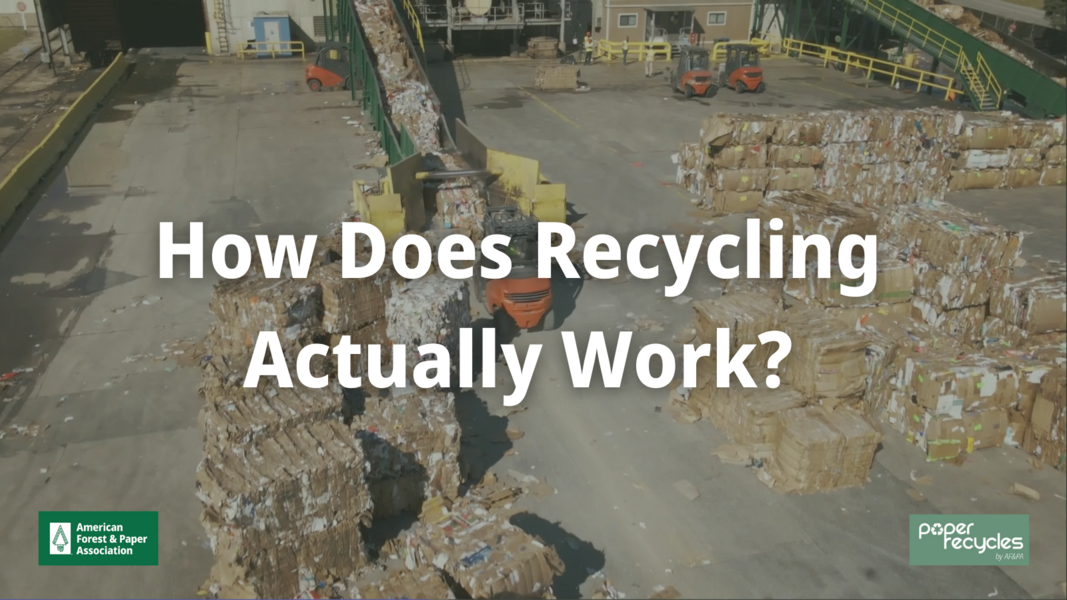 How does recycling actually work?